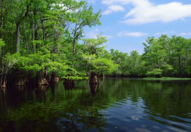 The Pee Dee River