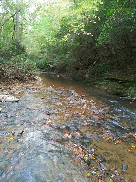 Scenic views like this one make Peters Creek Heritage Preserve in Spartanburg County a popular spot for hikers and nature enthusiasts.