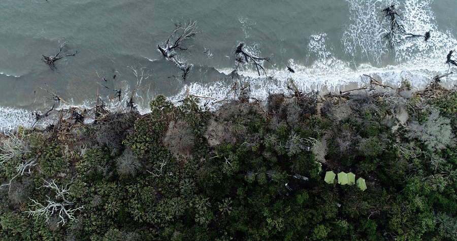 An aerial view of Botany Bay Plantation Heritage Preserve shows tents set up where Pockoy Island Shell Rings are located (Credit Jamie Koelker, Koelker & Associates, LLC.) An aerial view of Botany Bay Plantation Heritage Preserve shows tents set up where Pockoy Island Shell Rings are located (Credit Jamie Koelker, Koelker & Associates, LLC.)