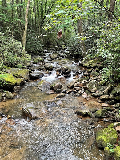 Local stakeholders sought to guide water planning in South Carolina's Saluda River Basin - South Carolina Department of Natural Resources