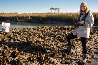 A woman harvesting oysters