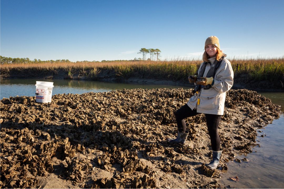 A Woman harvesting oysters