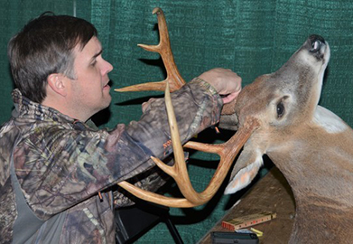 Antler Scoring – Whitetail Company