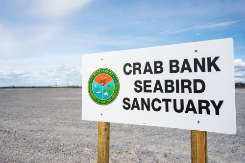 Crab Bank Seabird Sanctuary sign with SCDNR logo on it.