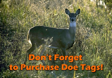 Order your antlerless deer tags soon to ensure prompt arrival! Order your antlerless deer tags soon to ensure prompt arrival!