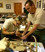 Tri-state wildlife biologists train for measurer certifications