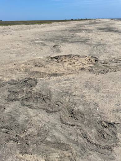 a beach with some grass on the left side