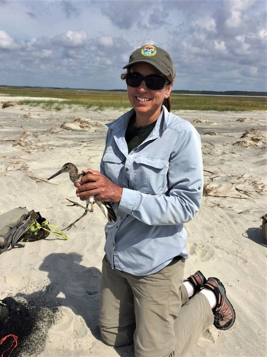 SCDNR shorebird leader named biologist of the year