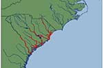 Locations of SCDNR�s statewide acoustic receiver array.