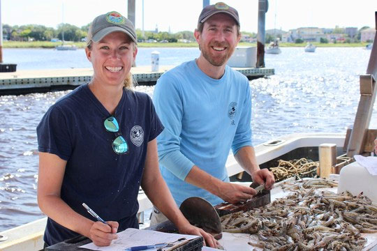 SCDNR biologists Kristin Hamilton and Mike Kendrick measure and count white shrimp aboard a regular trawl survey in 2018. (Photo: E. Weeks/SCDNR) SCDNR biologists Kristin Hamilton and Mike Kendrick measure and count white shrimp aboard a regular trawl survey in 2018. (Photo: E. Weeks/SCDNR)
