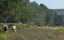 Wando River Sweep