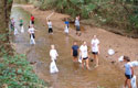 Lake Moultrie Sweep