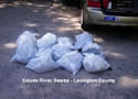 Saluda River Sweep - Lexington County