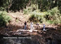 Reedy River Sweep - Greenville County