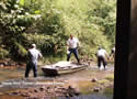 Reedy River Sweep - Greenville County