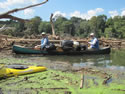 Catawba River Sweep