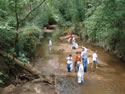 Brushy Creek Sweep