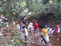 Brushy Creek - Greenville County