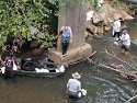 Reedy River - Greenville County