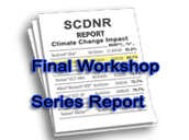 Final Workshop Series Report