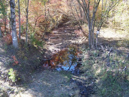 Log Creek (photograph courtesy of Mr. Neil Bartley)