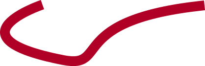 South Carolina Hurricanes
