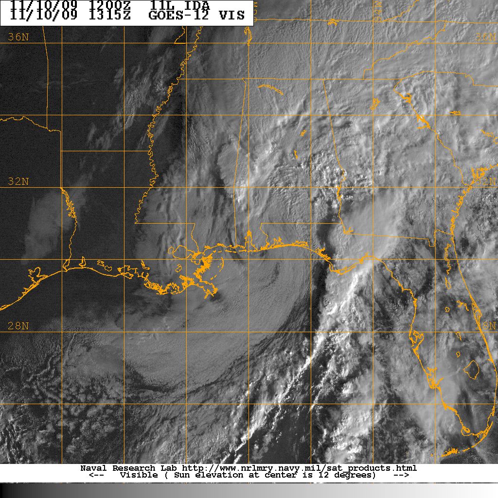 Ida visible satellite image