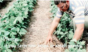 What's in it for me - farmer tending crop