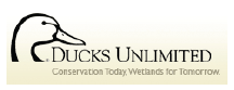 Ducks Unlimited