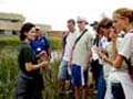 Training on marsh plants