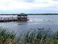 Boardwalk into marsh