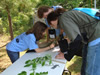 Tree ID at the Forestry Station