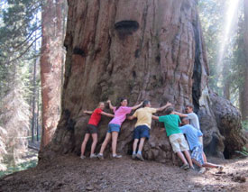 2nd Place: 2010 SC Envirothon 