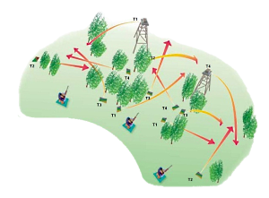 Sporting Clays shooting layout