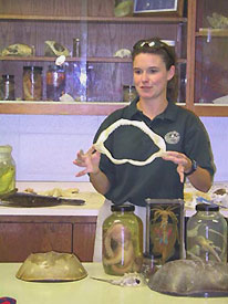 Educator showing shark jaw