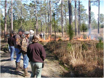 Quail Seminar