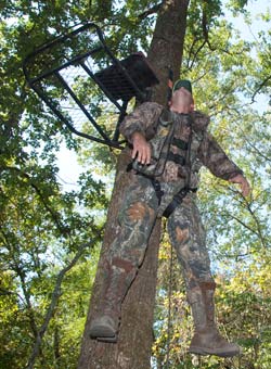 Hunter in Tree Stand