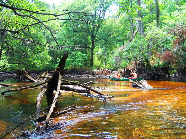 Paddling on the Little Pee Dee River