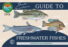 SCDNR - Fish Publications