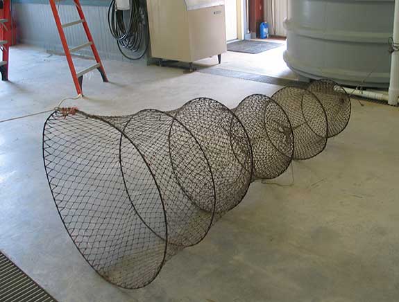 Photograph of Hoop Net
