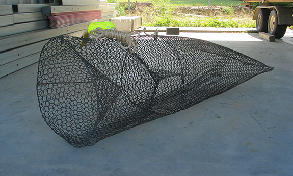 Fish Trap