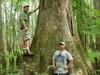 In the Congaree Swamp