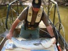 Nice striped bass captured from Lake Thurmond, SC