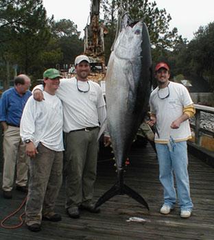 Jim Scott Middleton III with  his record catch