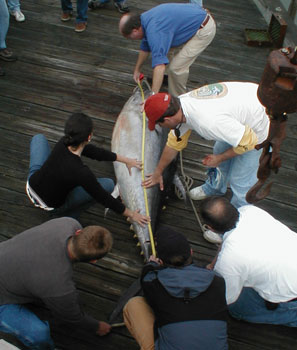 Measuring Fish for Record Statistics