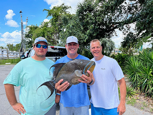 Three men smiling outside, the man in the middle holding forward a triggerfish that looks to be about as wide as the man himself and about half as tall as the man's torso.