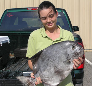 Photograph of Record Spadefish