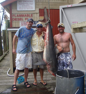 Photograph of Record Blacktip Shark with angler Daniel Rowe