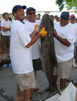 Photograph of Record Cobia with angler Robby Maroudas