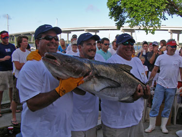 Photograph of Record Cobia with angler Robby Maroudas